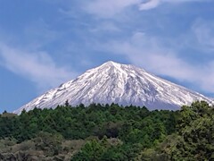 2025年初冠雪日　昼の富士山