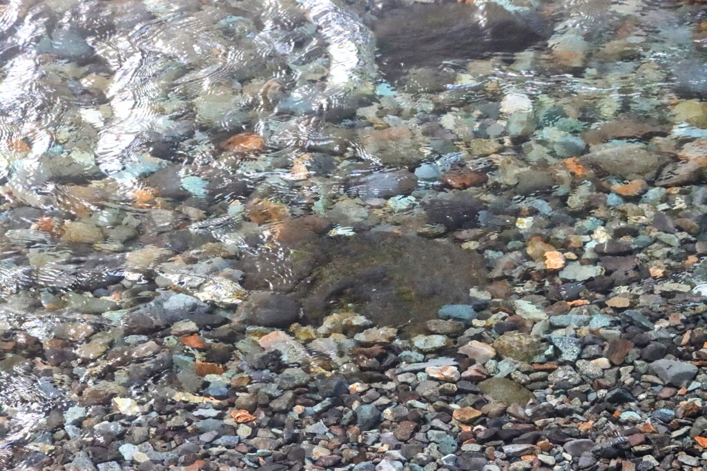 清流