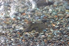 清流
