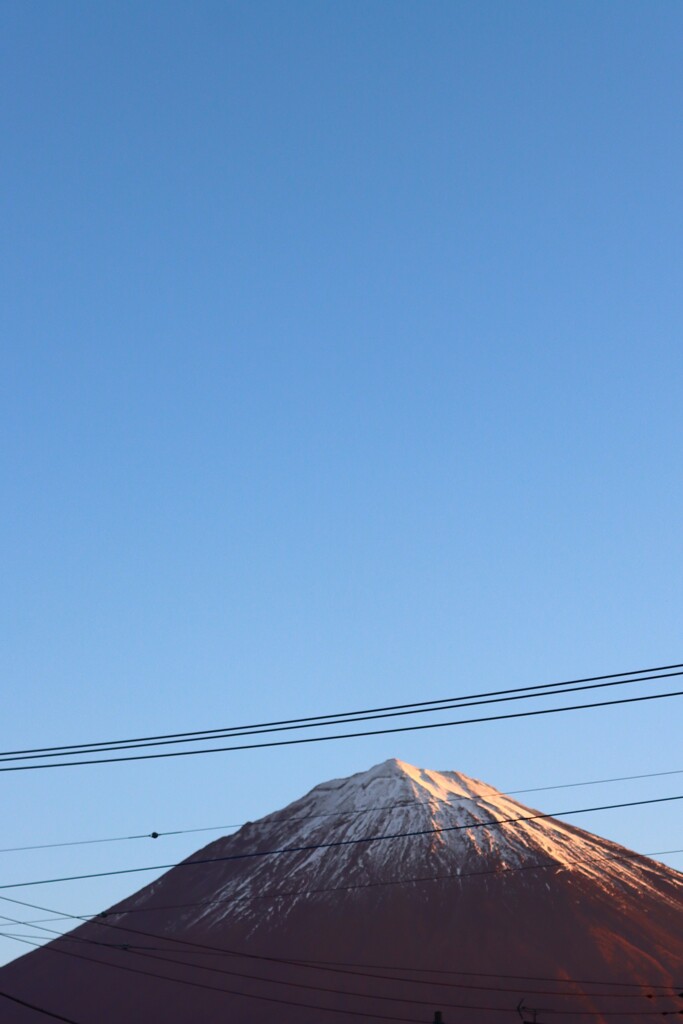 朝陽をあびる富士