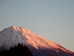 朝焼け富士