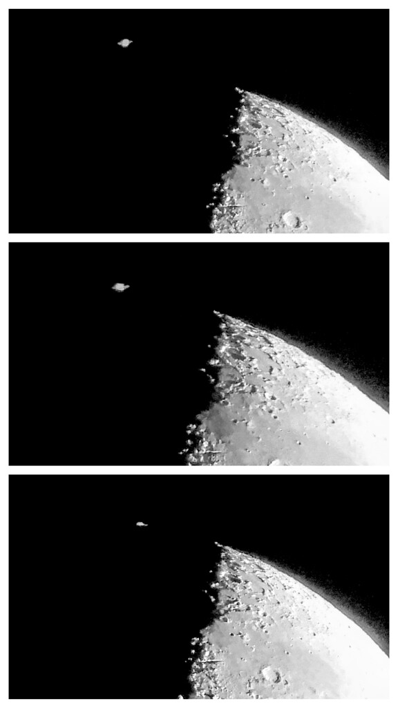 土星食