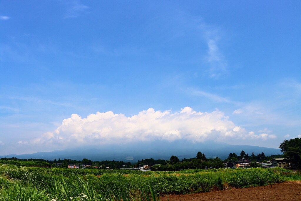 入道雲に覆われる富士山