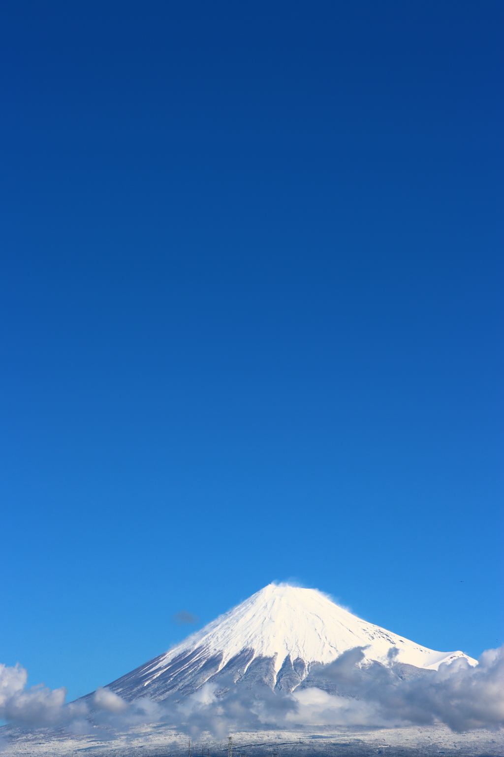 田子の浦にて。