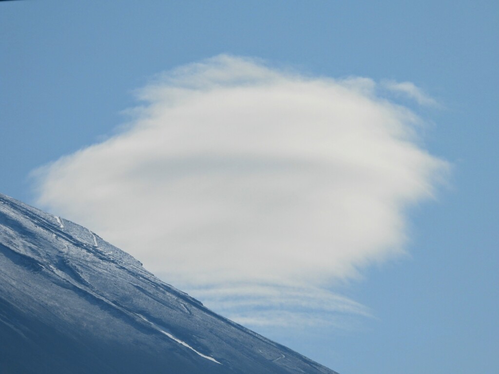 薄雪