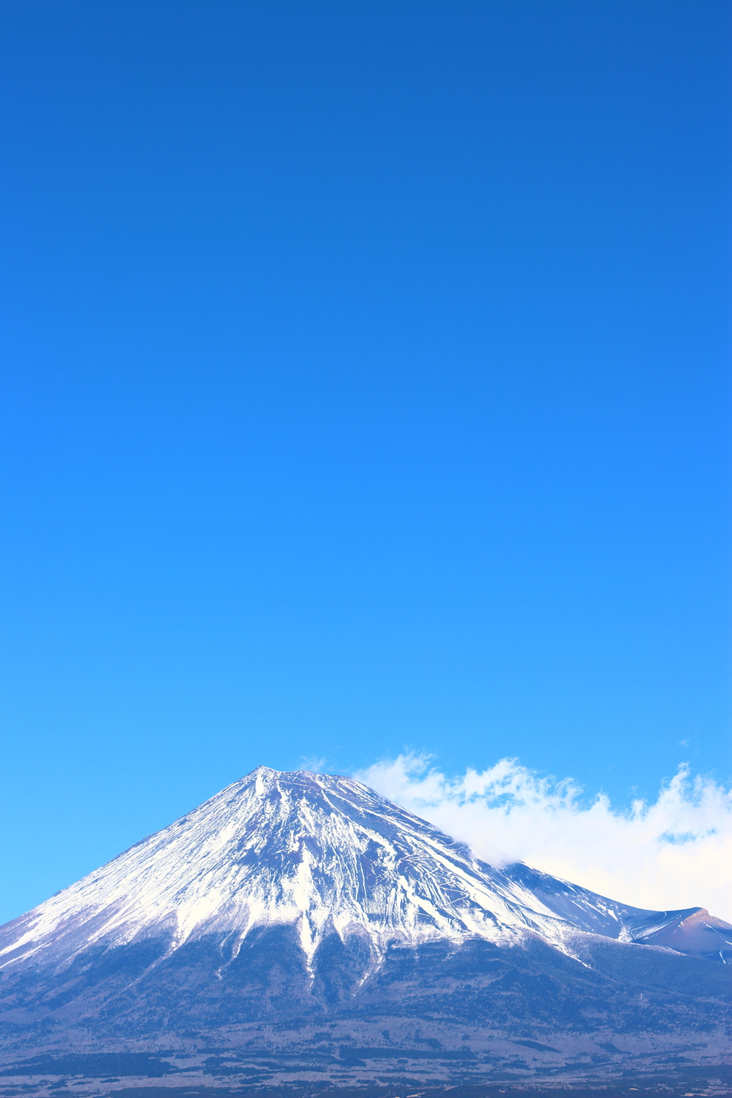 富士山の日
