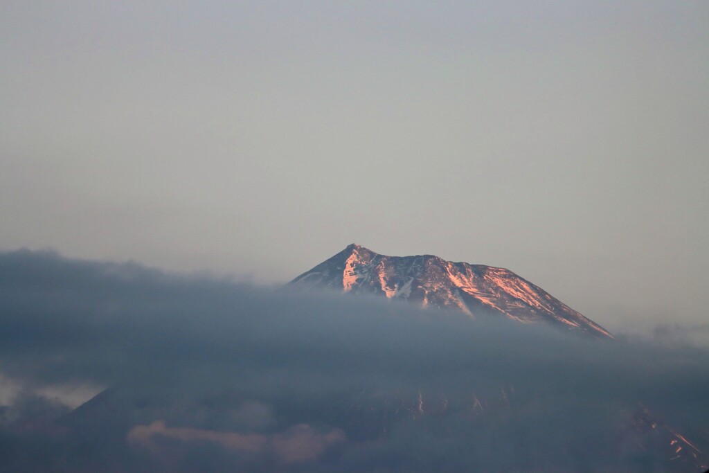 朝の富士山