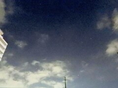 悲しいかな。