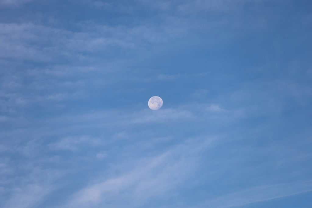 秋空にお月様