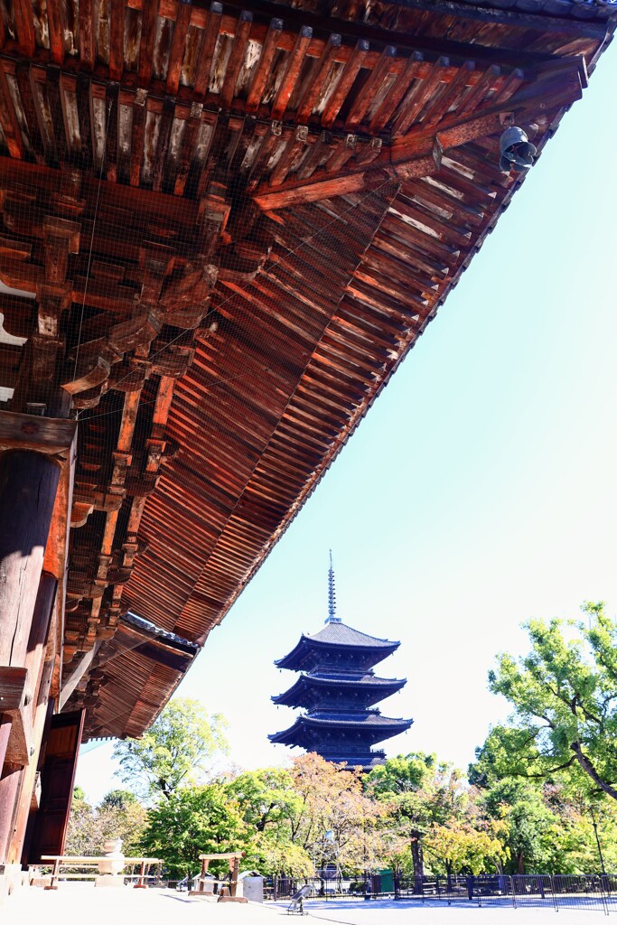東寺