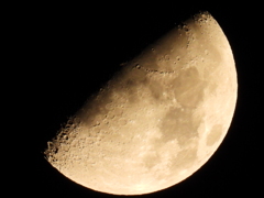 上弦の月 上弦の月