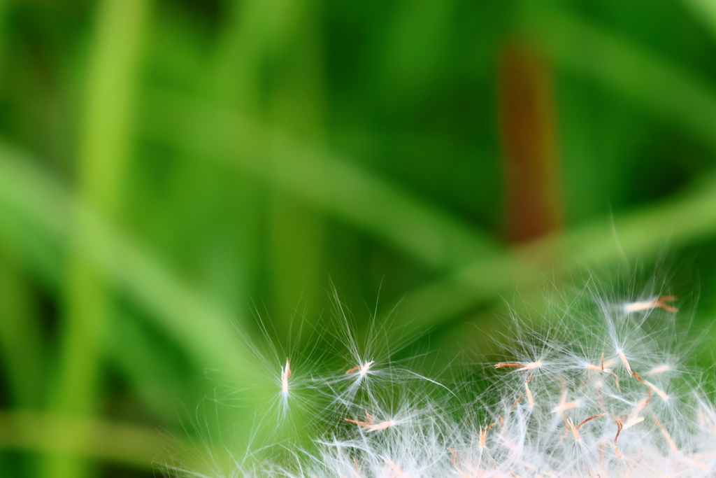 いい風が吹かないかな〜。