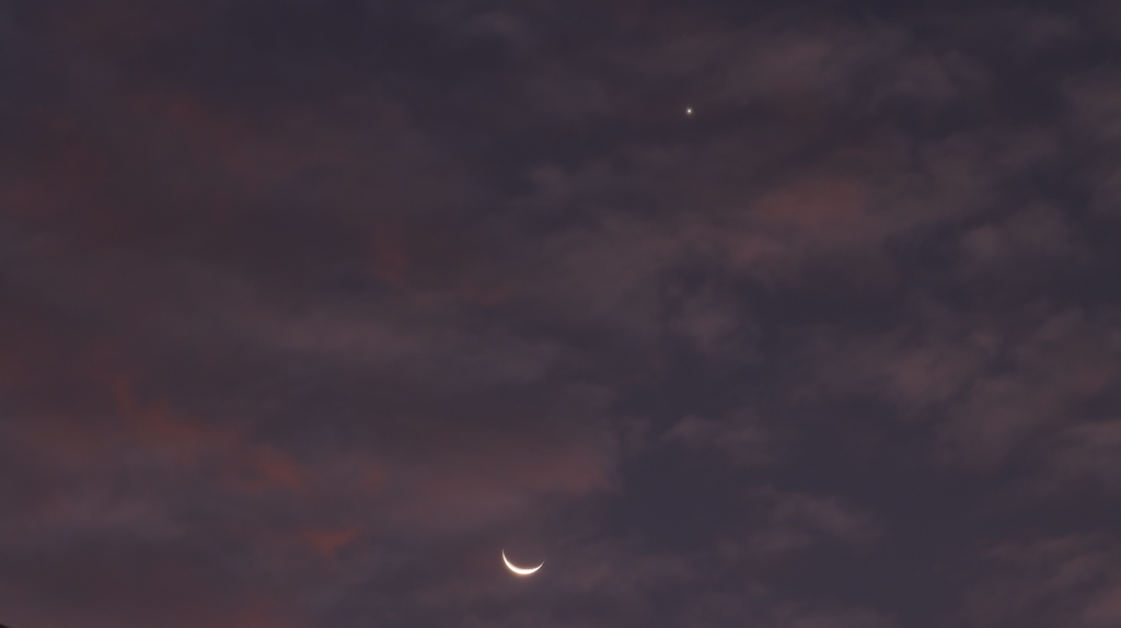 月と金星20231110