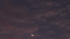 月と金星20231110