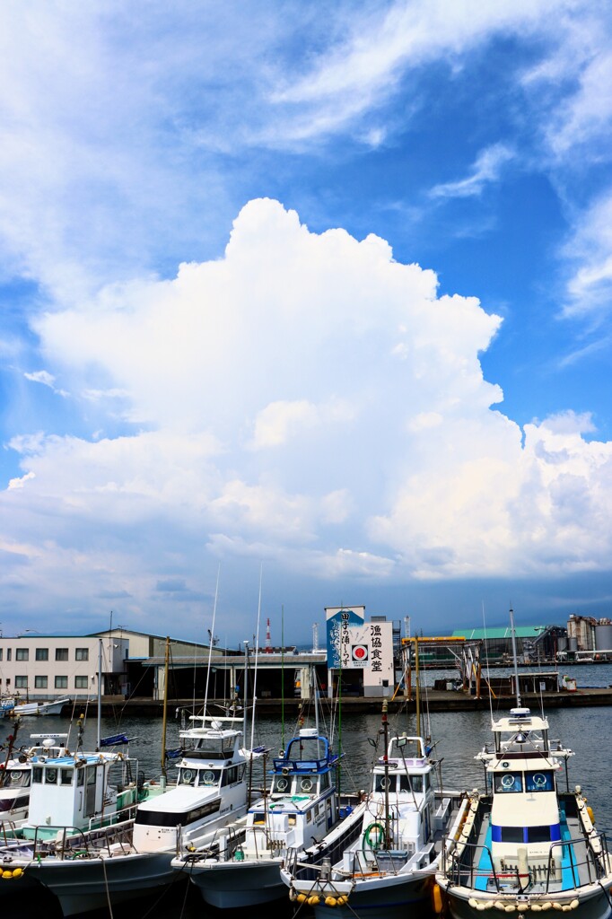 田子の浦港と入道雲
