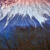 夕富士