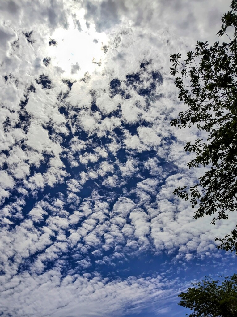 蒸し暑い空