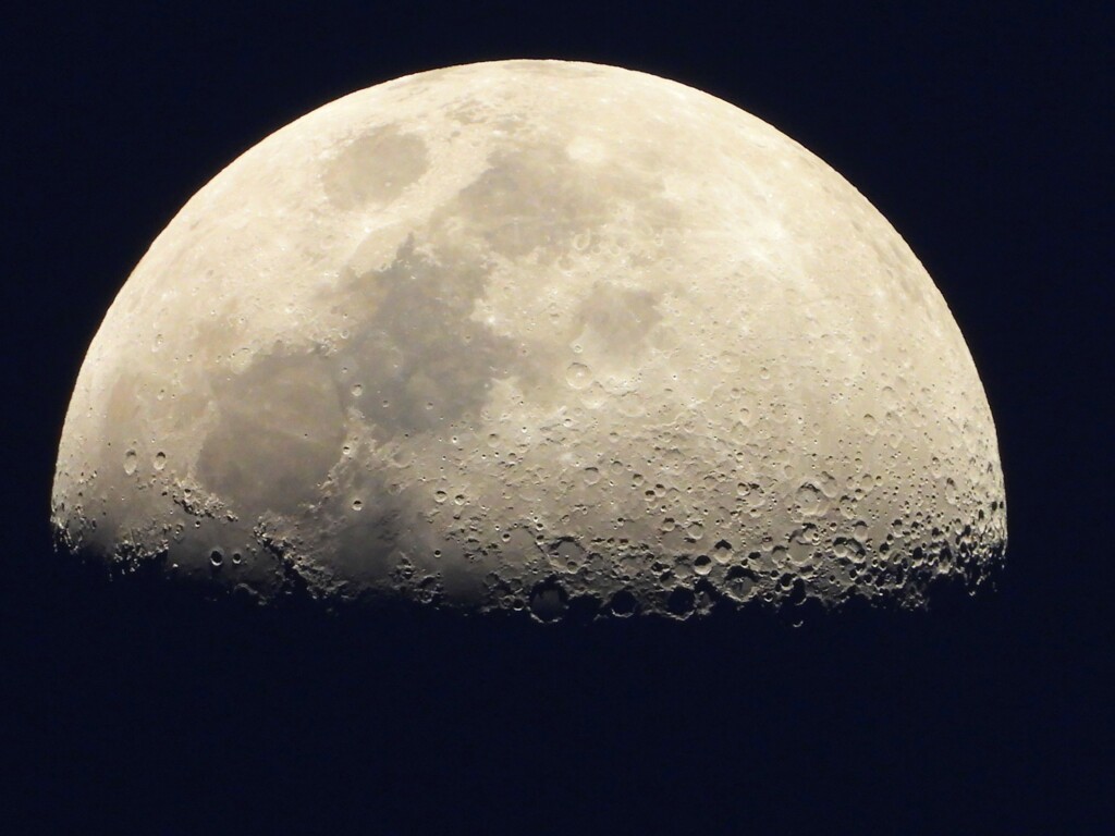 上弦の月