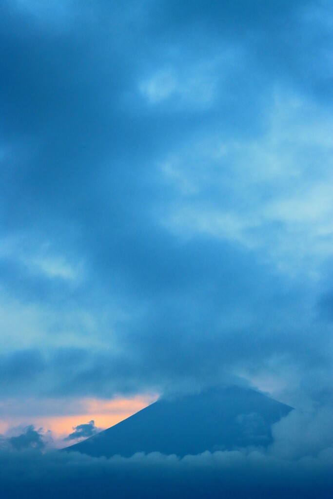 やっと出てくれた富士山