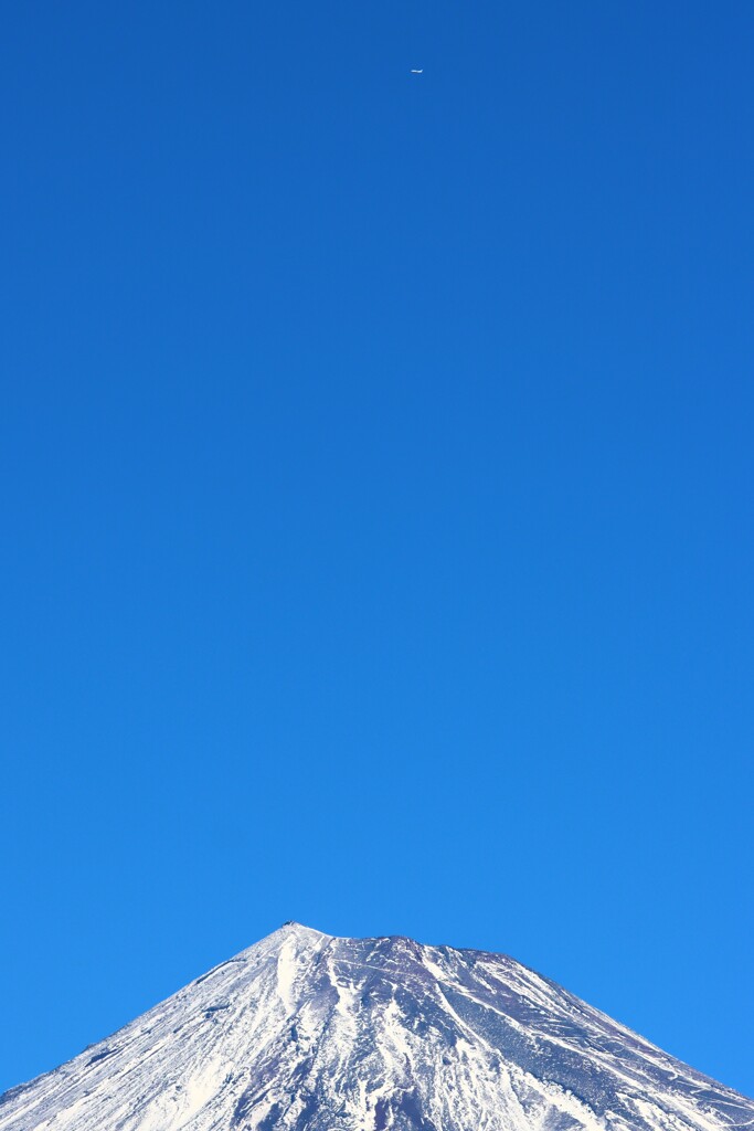 富士山と旅客機