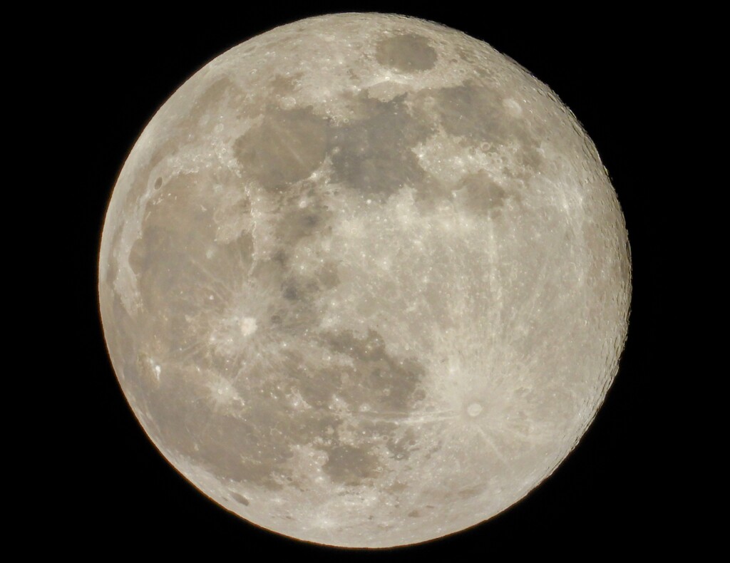 コールドムーン