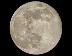 コールドムーン