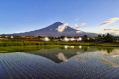 水田に映る夜の富士山