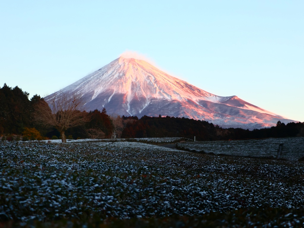 朝焼け富士