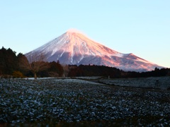 朝焼け富士