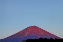 あかふじ