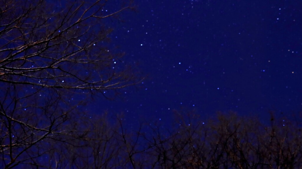 木々の先にカシオペア