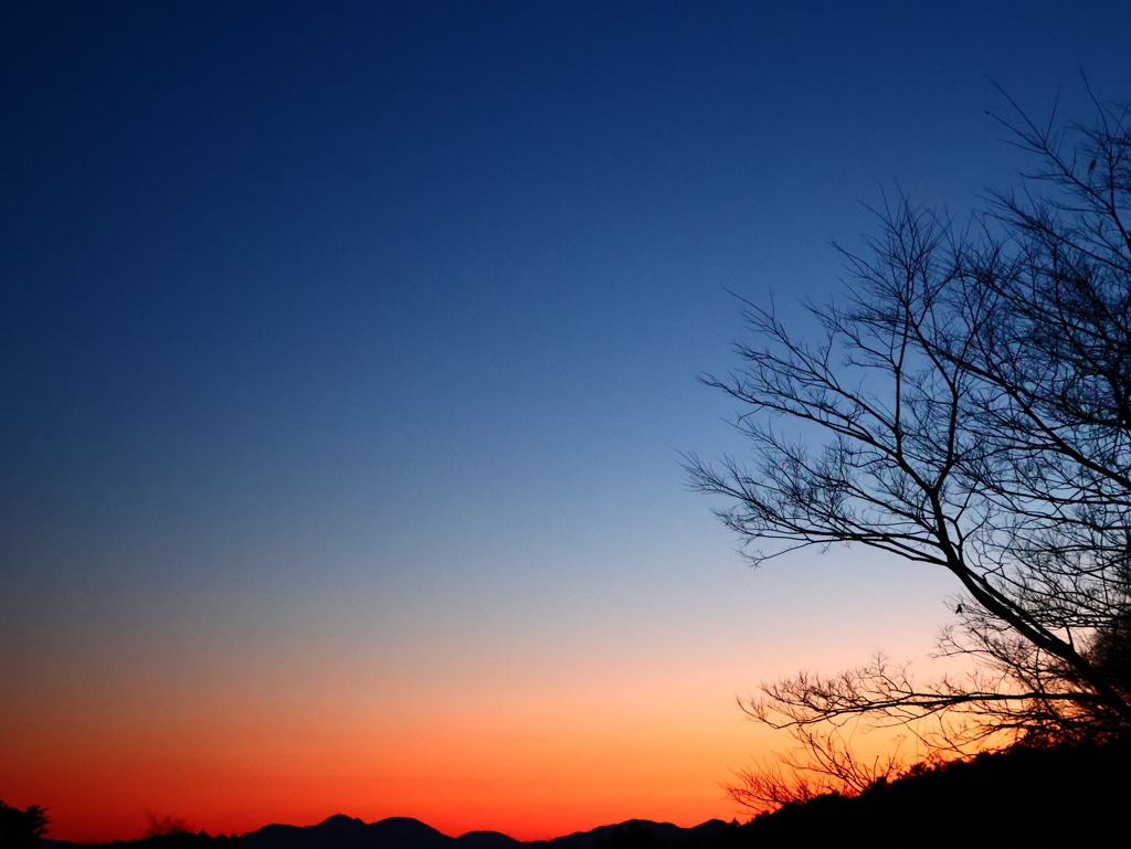 マジックアワー