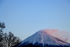 朝富士
