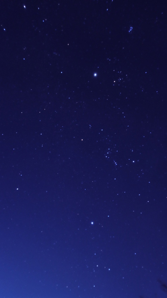 冬の星空
