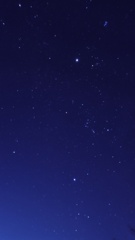 冬の星空