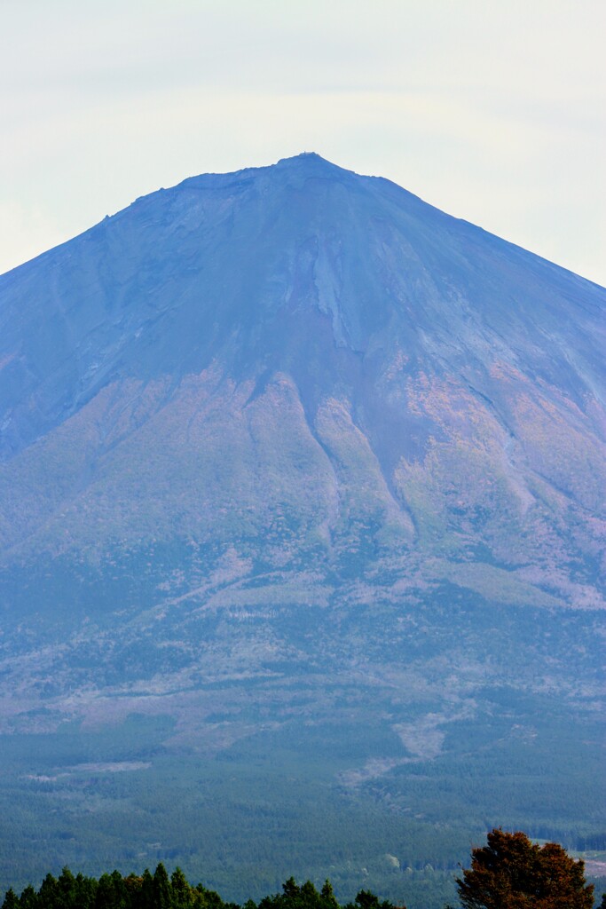 富士山秋景色
