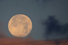 昨夜の満月（朝撮影）