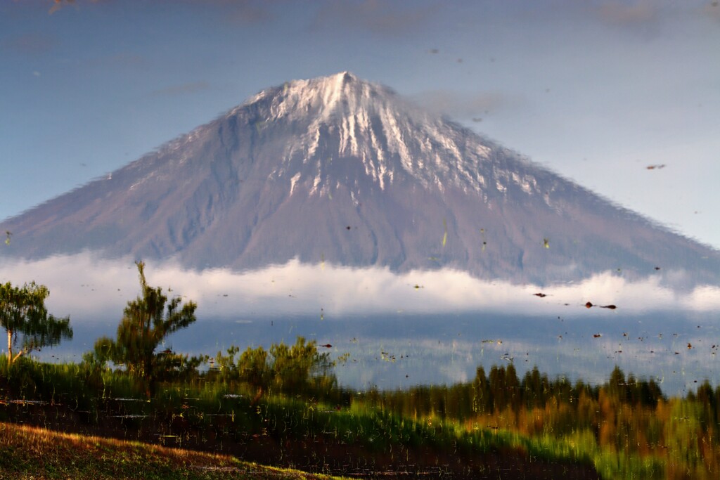 田んぼに映る富士山