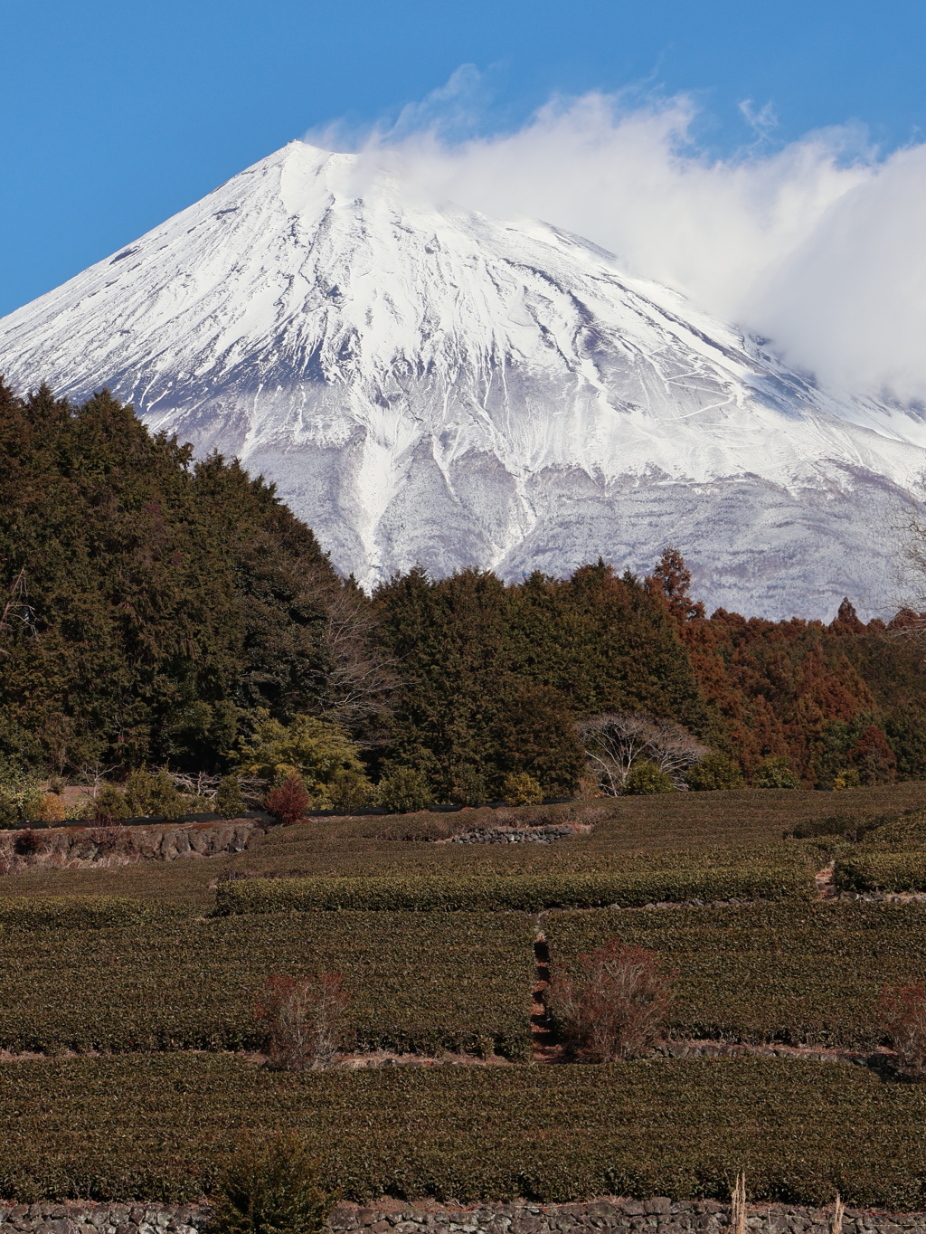 富士山
