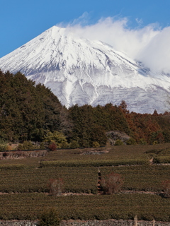富士山