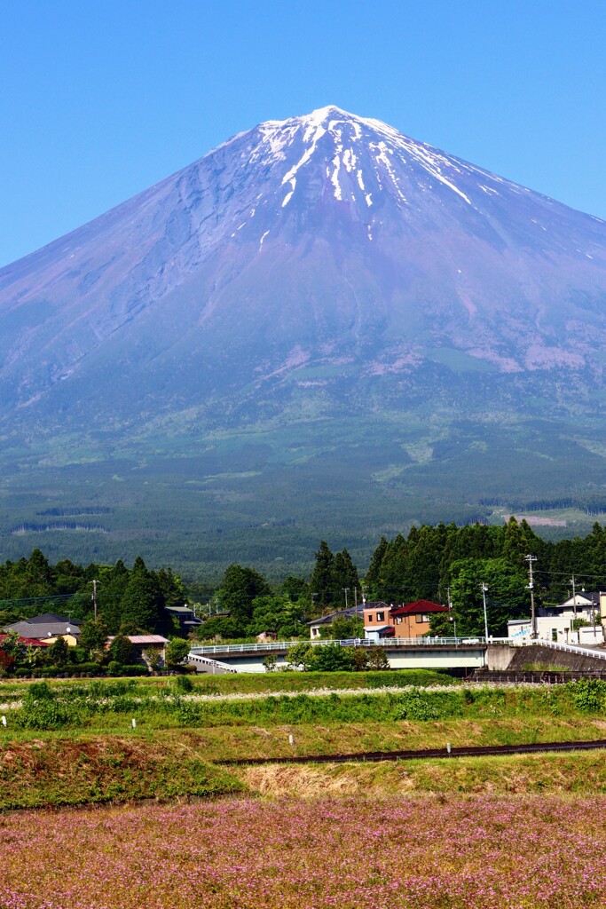 ５月の風景