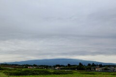 富士山の裾野