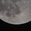 昨夜のお月様