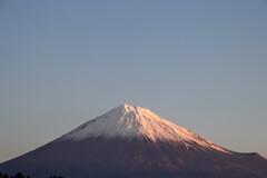 今の富士山