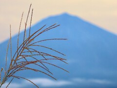 秋