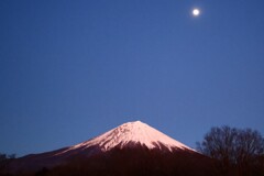 富士と月