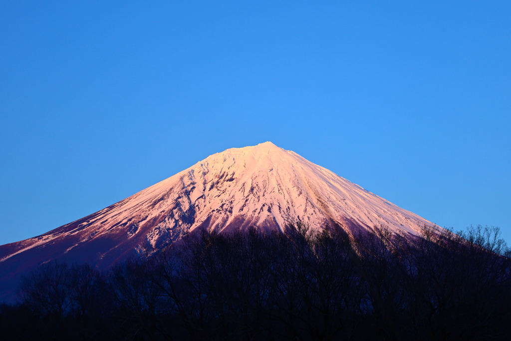 今日の夕富士