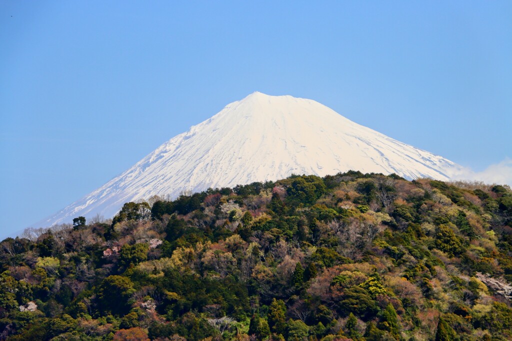 山越しの富士