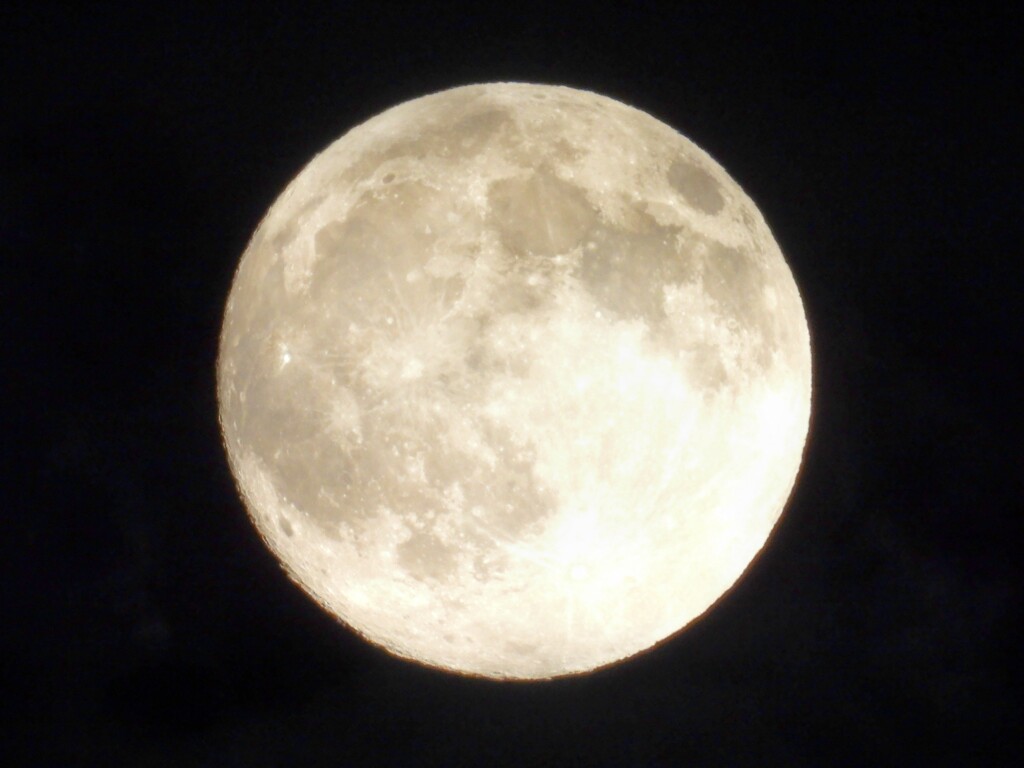 中秋の名月