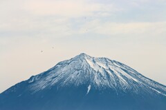性懲りもなく富士山